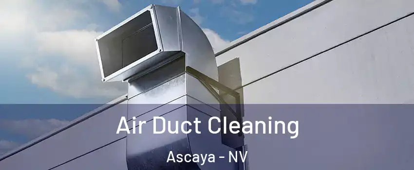 Air Duct Cleaning Ascaya - NV