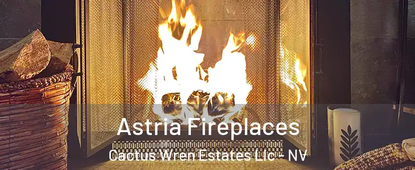 Astria Fireplaces Cactus Wren Estates Llc - NV