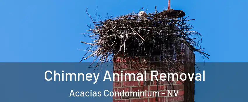 Chimney Animal Removal Acacias Condominium - NV