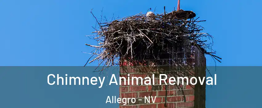 Chimney Animal Removal Allegro - NV