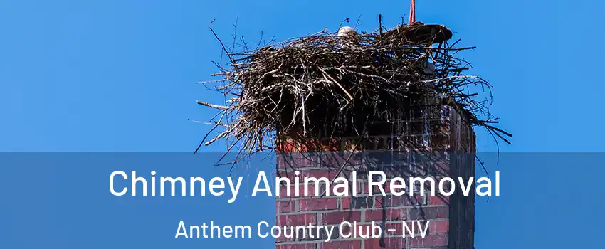 Chimney Animal Removal Anthem Country Club - NV