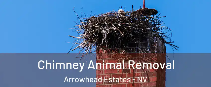 Chimney Animal Removal Arrowhead Estates - NV