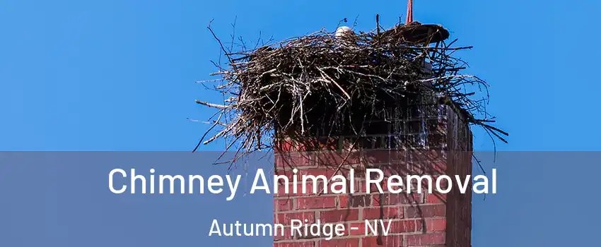 Chimney Animal Removal Autumn Ridge - NV