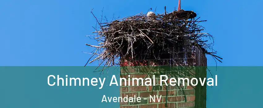 Chimney Animal Removal Avendale - NV