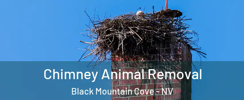 Chimney Animal Removal Black Mountain Cove - NV