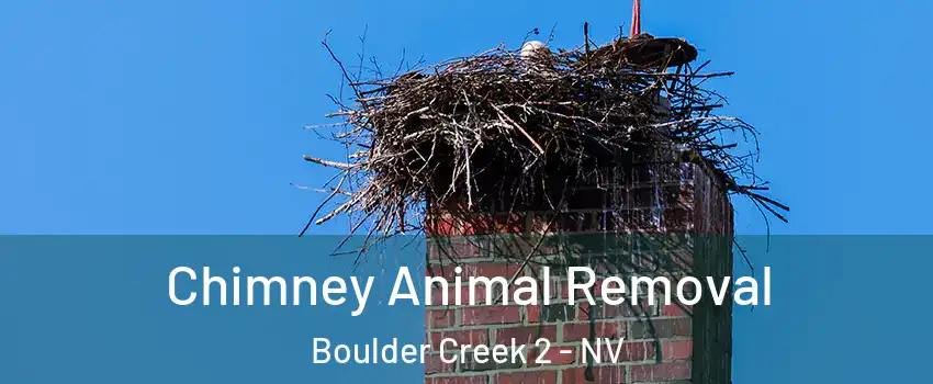 Chimney Animal Removal Boulder Creek 2 - NV