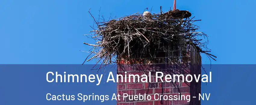 Chimney Animal Removal Cactus Springs At Pueblo Crossing - NV