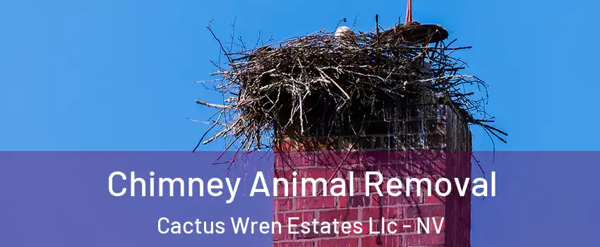 Chimney Animal Removal Cactus Wren Estates Llc - NV