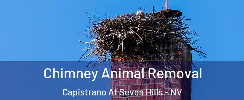 Chimney Animal Removal Capistrano At Seven Hills - NV