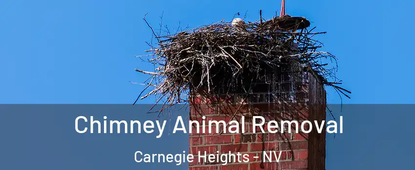 Chimney Animal Removal Carnegie Heights - NV