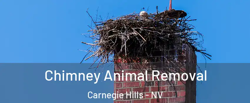 Chimney Animal Removal Carnegie Hills - NV