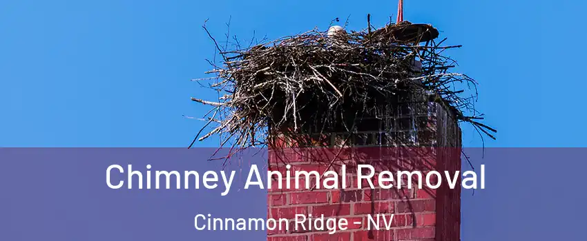 Chimney Animal Removal Cinnamon Ridge - NV