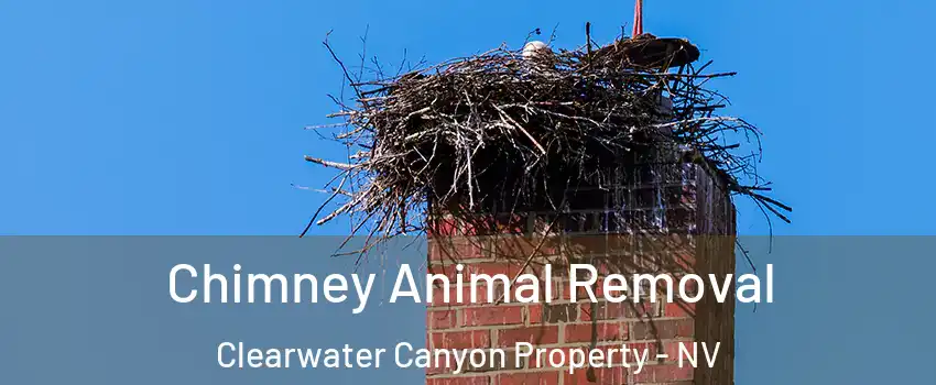 Chimney Animal Removal Clearwater Canyon Property - NV