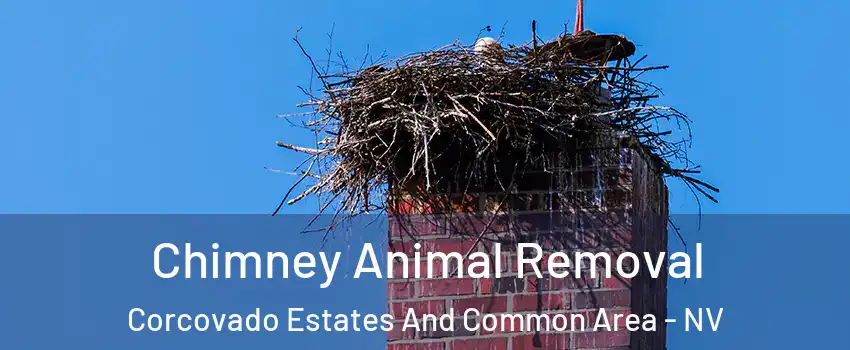 Chimney Animal Removal Corcovado Estates And Common Area - NV