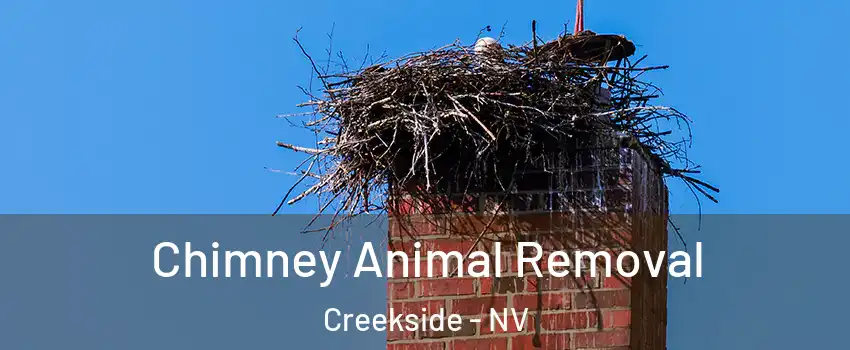 Chimney Animal Removal Creekside - NV