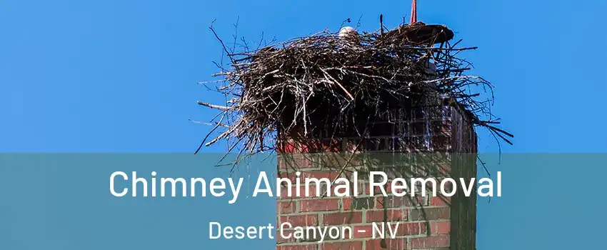 Chimney Animal Removal Desert Canyon - NV