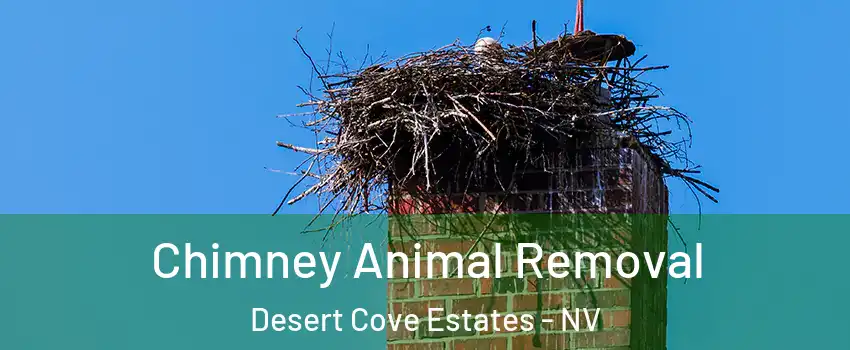 Chimney Animal Removal Desert Cove Estates - NV