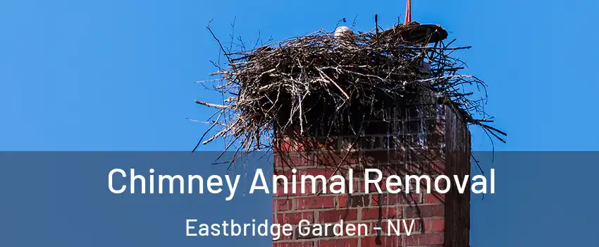 Chimney Animal Removal Eastbridge Garden - NV