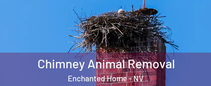 Chimney Animal Removal Enchanted Home - NV