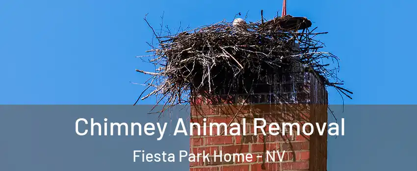 Chimney Animal Removal Fiesta Park Home - NV