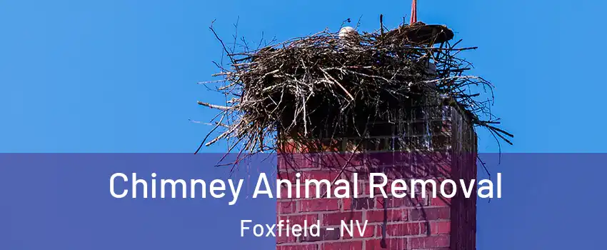 Chimney Animal Removal Foxfield - NV