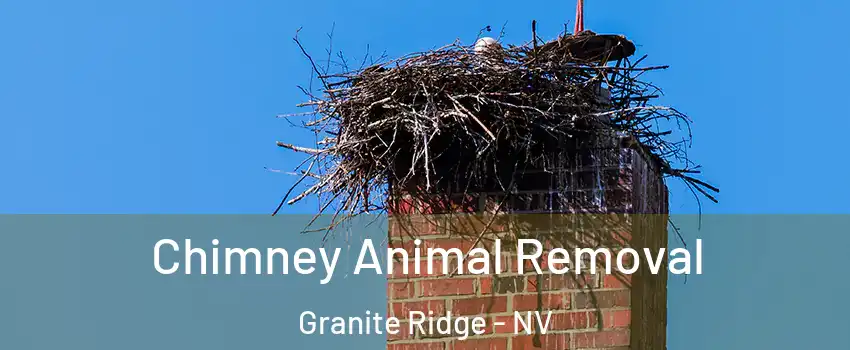 Chimney Animal Removal Granite Ridge - NV