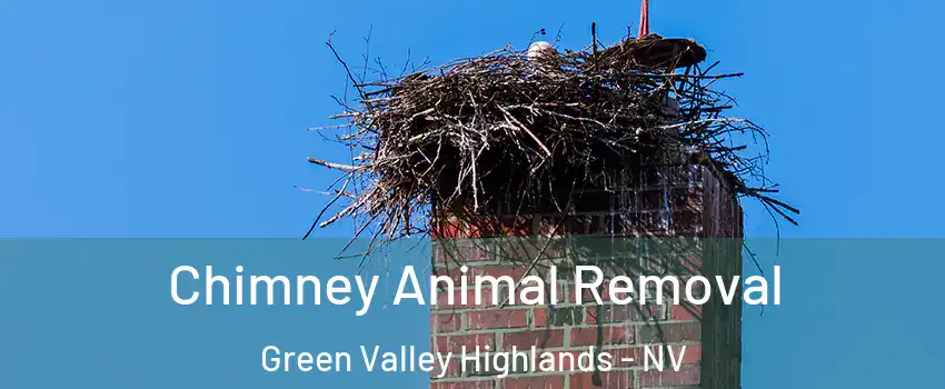 Chimney Animal Removal Green Valley Highlands - NV