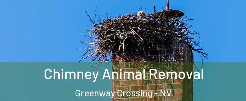 Chimney Animal Removal Greenway Crossing - NV