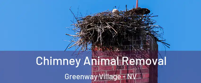 Chimney Animal Removal Greenway Village - NV