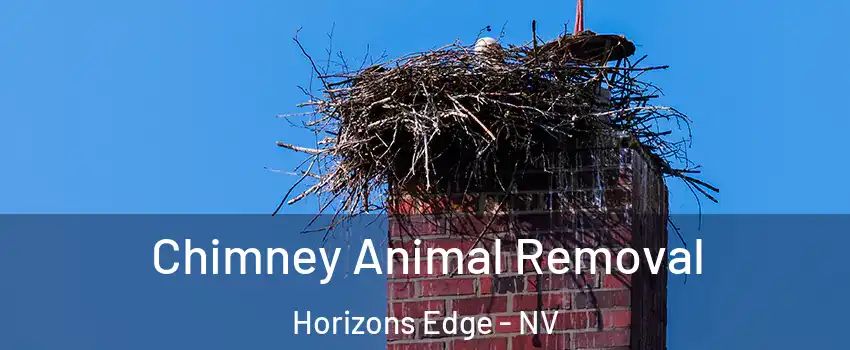 Chimney Animal Removal Horizons Edge - NV