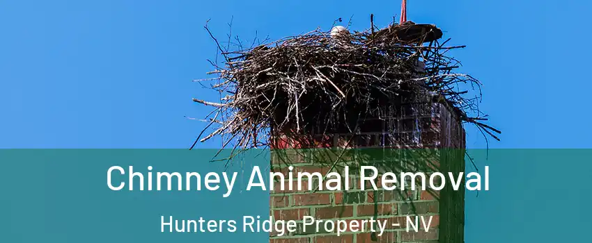 Chimney Animal Removal Hunters Ridge Property - NV