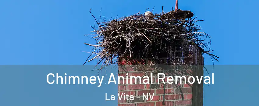 Chimney Animal Removal La Vita - NV