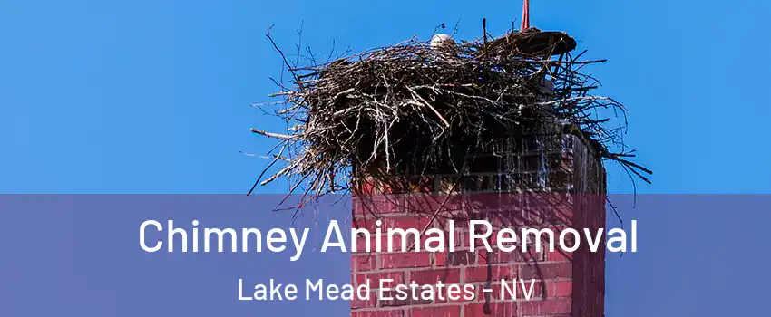 Chimney Animal Removal Lake Mead Estates - NV