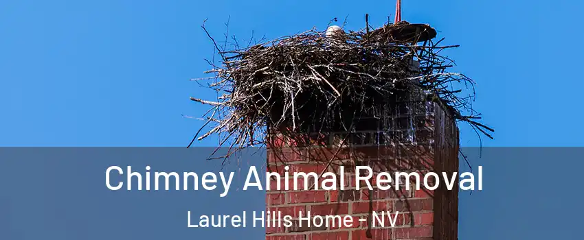 Chimney Animal Removal Laurel Hills Home - NV