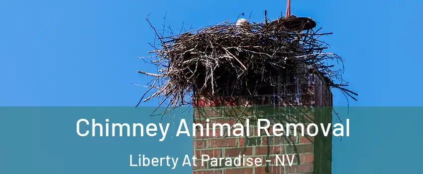 Chimney Animal Removal Liberty At Paradise - NV