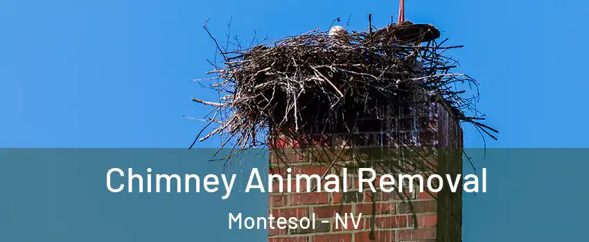 Chimney Animal Removal Montesol - NV