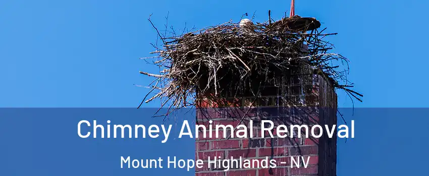 Chimney Animal Removal Mount Hope Highlands - NV