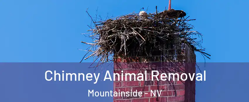 Chimney Animal Removal Mountainside - NV