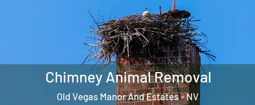 Chimney Animal Removal Old Vegas Manor And Estates - NV