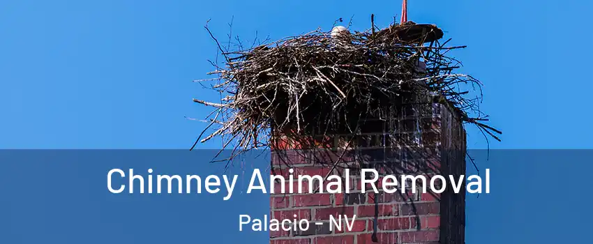 Chimney Animal Removal Palacio - NV