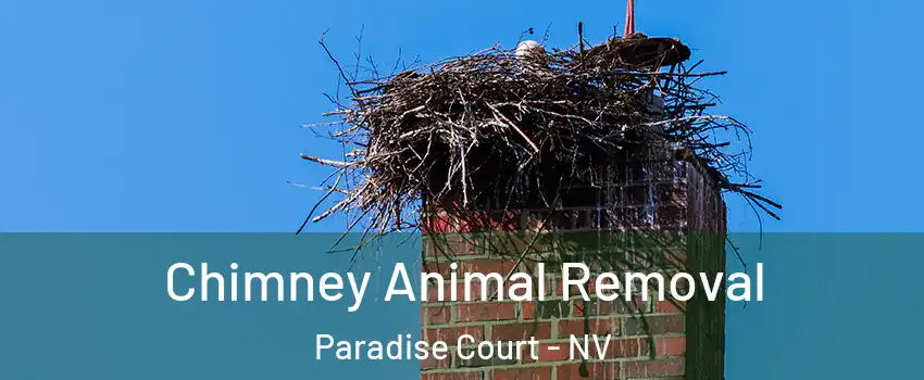 Chimney Animal Removal Paradise Court - NV