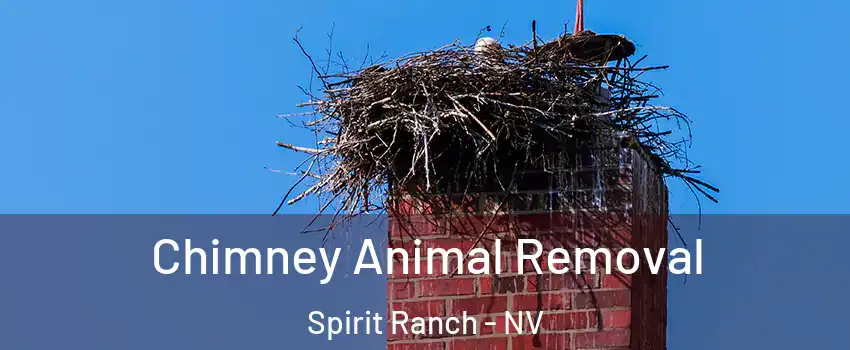 Chimney Animal Removal Spirit Ranch - NV