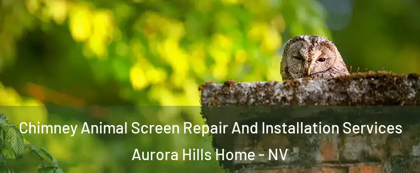 Chimney Animal Screen Repair And Installation Services Aurora Hills Home - NV