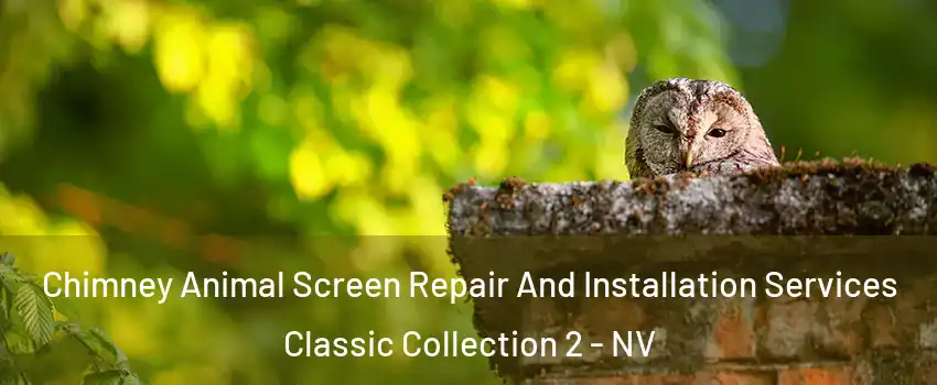 Chimney Animal Screen Repair And Installation Services Classic Collection 2 - NV