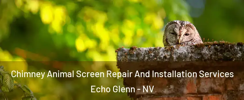 Chimney Animal Screen Repair And Installation Services Echo Glenn - NV