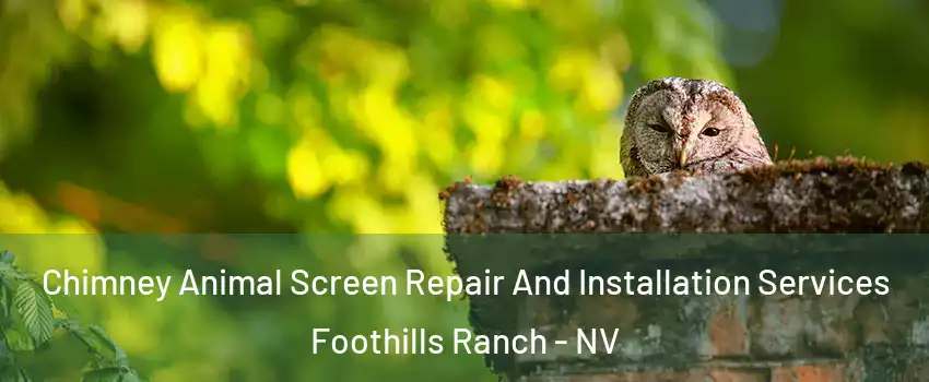 Chimney Animal Screen Repair And Installation Services Foothills Ranch - NV