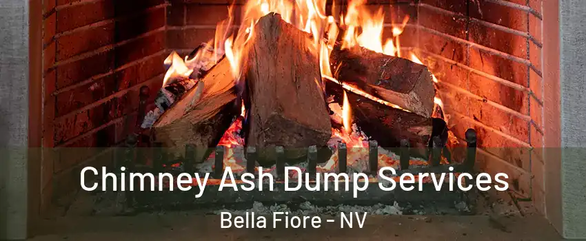 Chimney Ash Dump Services Bella Fiore - NV