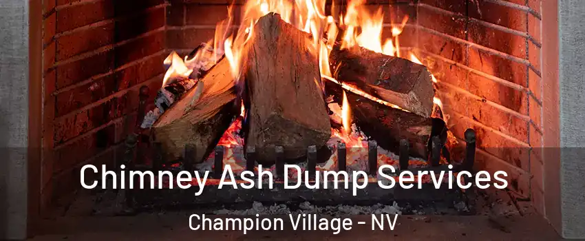 Chimney Ash Dump Services Champion Village - NV