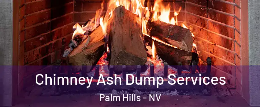 Chimney Ash Dump Services Palm Hills - NV