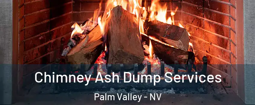 Chimney Ash Dump Services Palm Valley - NV